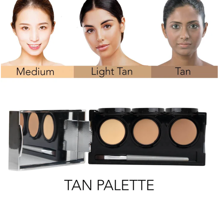 Pro Concealer Palette